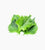 Shiso Leaves