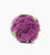 Violet Cauliflower